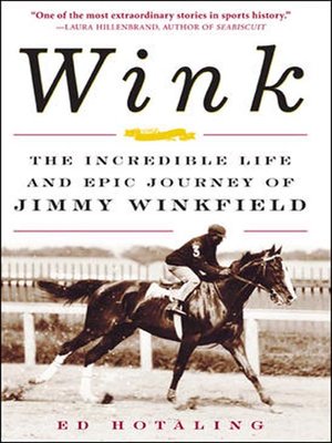 cover image of Wink